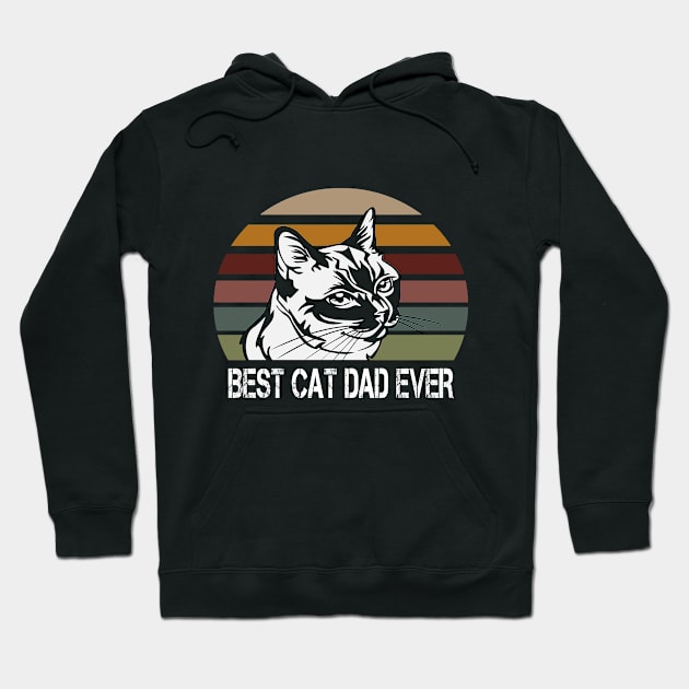 Vintage Best Cat Dad Ever Funny Gift Idea Hoodie by karascom